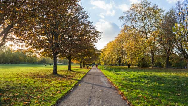 istock_12618_parkscene