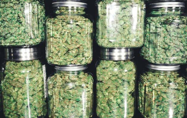 cannabis-dispensary-in-jars