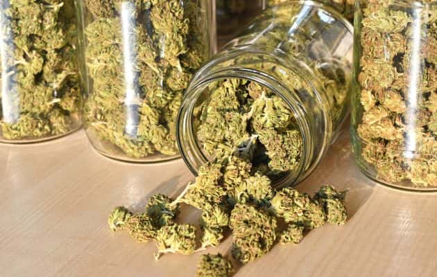 cannabis-stores-in-glass-jar