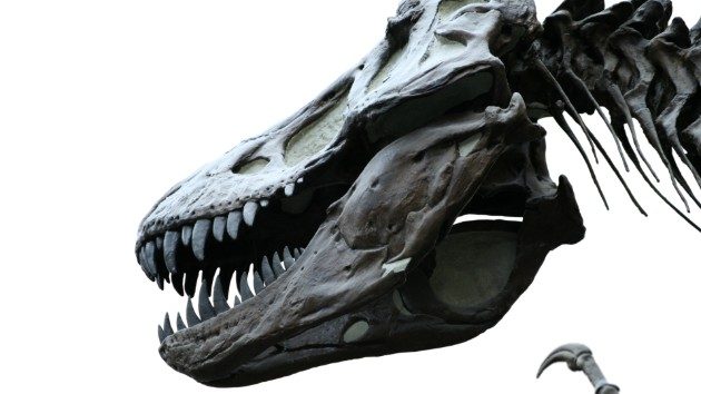 world's heaviest dinosaur