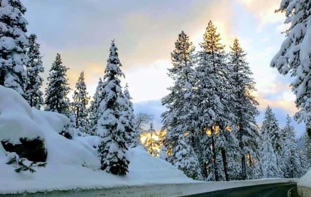 sierra-nevada-snow-2