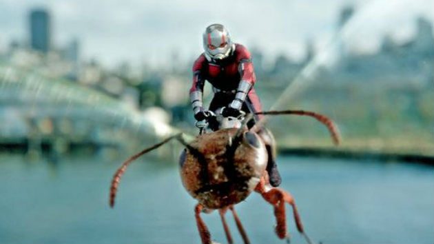 e_ant_man_and_the_wasp_04242019