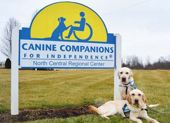 canine-companions