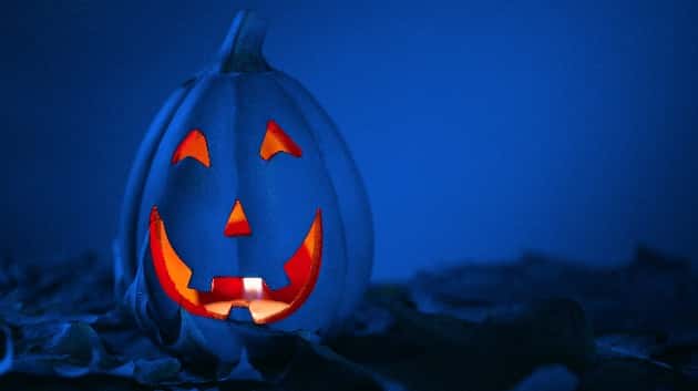 istock_101619_bluepumpkins