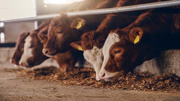 istock_041820_farmsubsidies