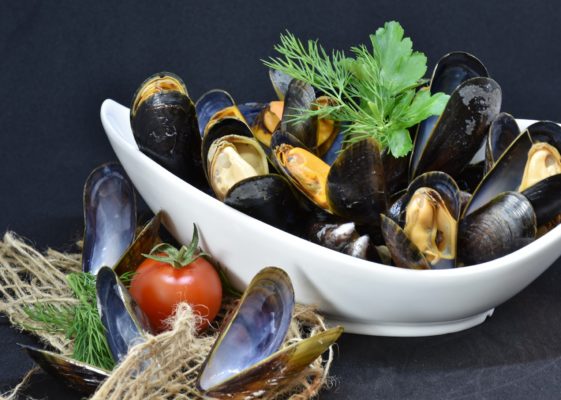 mussels-3148413_1920