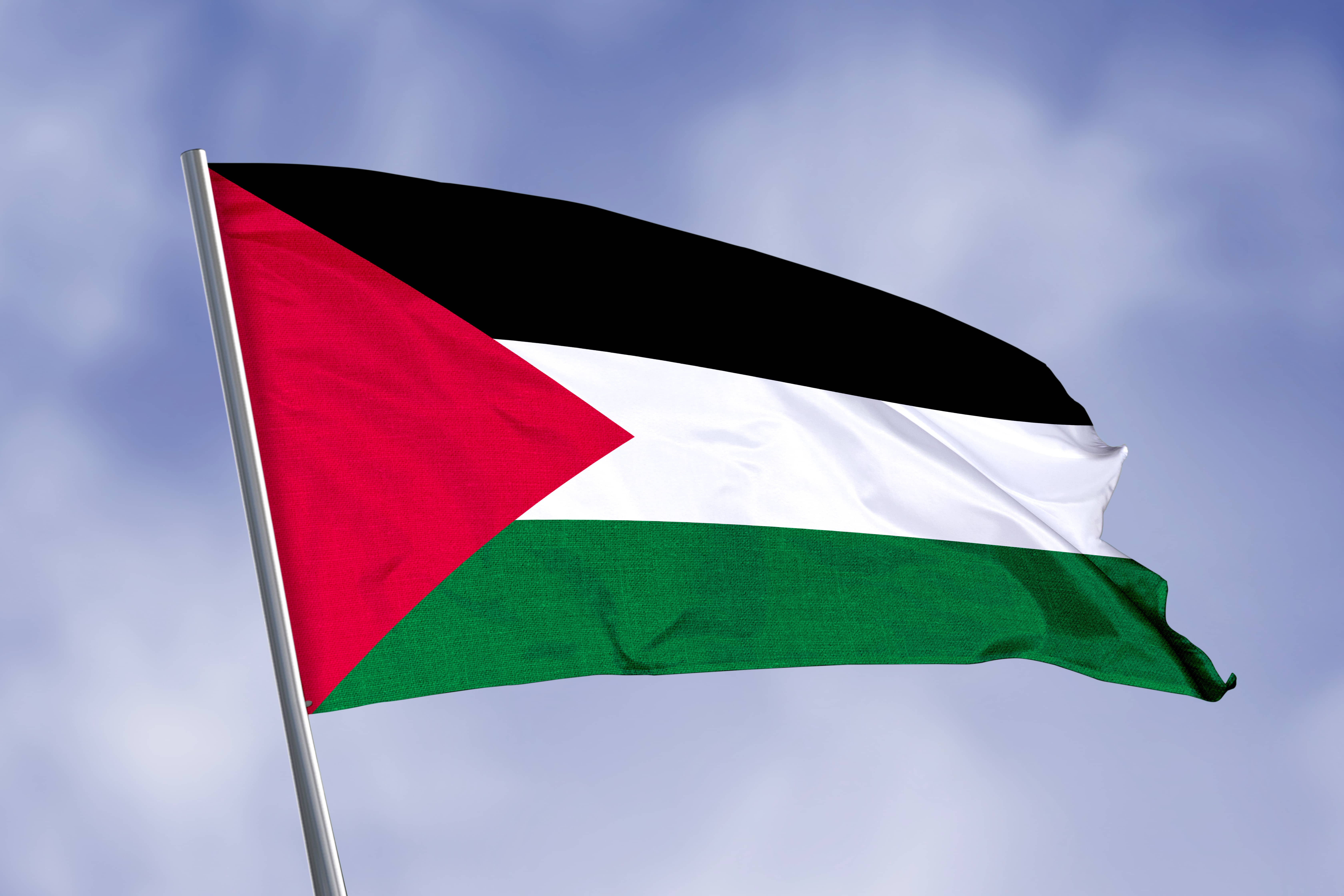 palestineflagisolatedonskybackground-closeupwavingflag