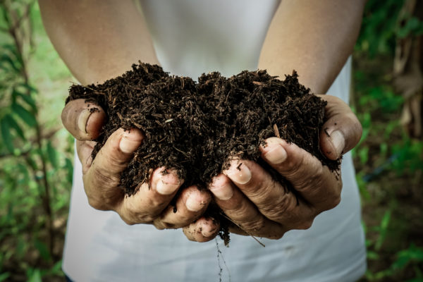 farmerholdingpileofarablesoil-maleagronomistexaminingquality