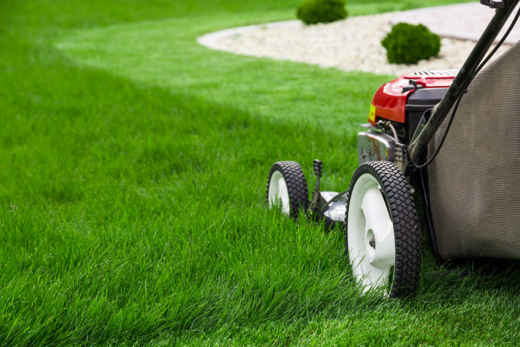 Colorado Cash For Grass Rebate Program