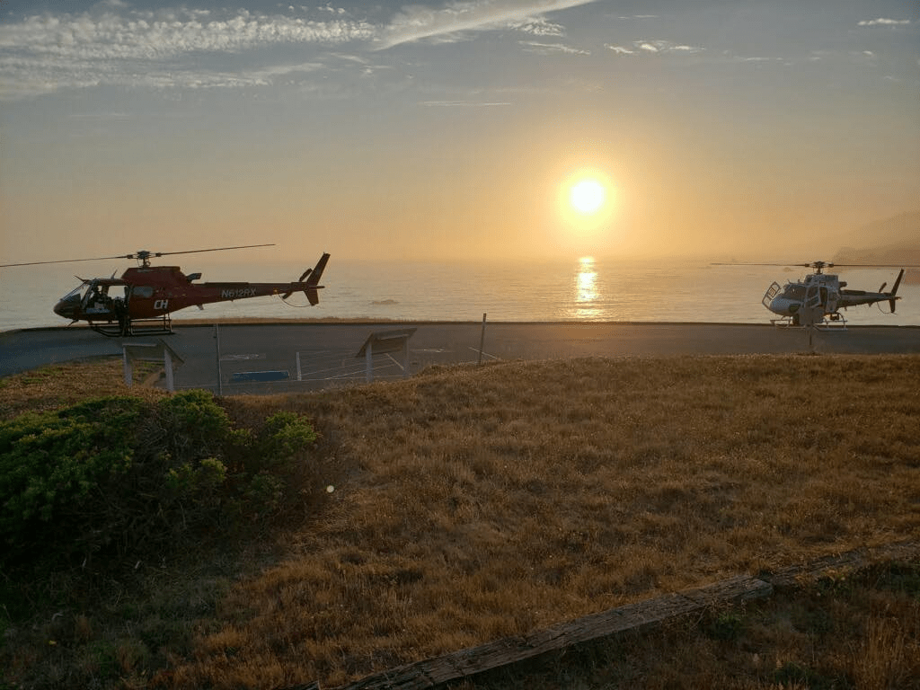 sonoma-six-stung-by-hornets-chp-golden-gate-division-air-operations