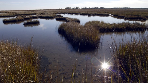 Maryland Wildlife Refuge Fights To Protect American History From ...