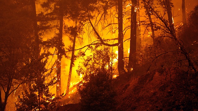 gettyimages_wildfire_080421