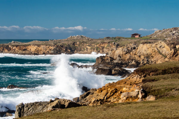 seascapeatsaltpointstateparkacaliforniastatepark