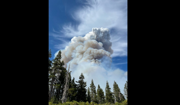 dixie-fire-8-5-21-courtesy-of-cal-fire