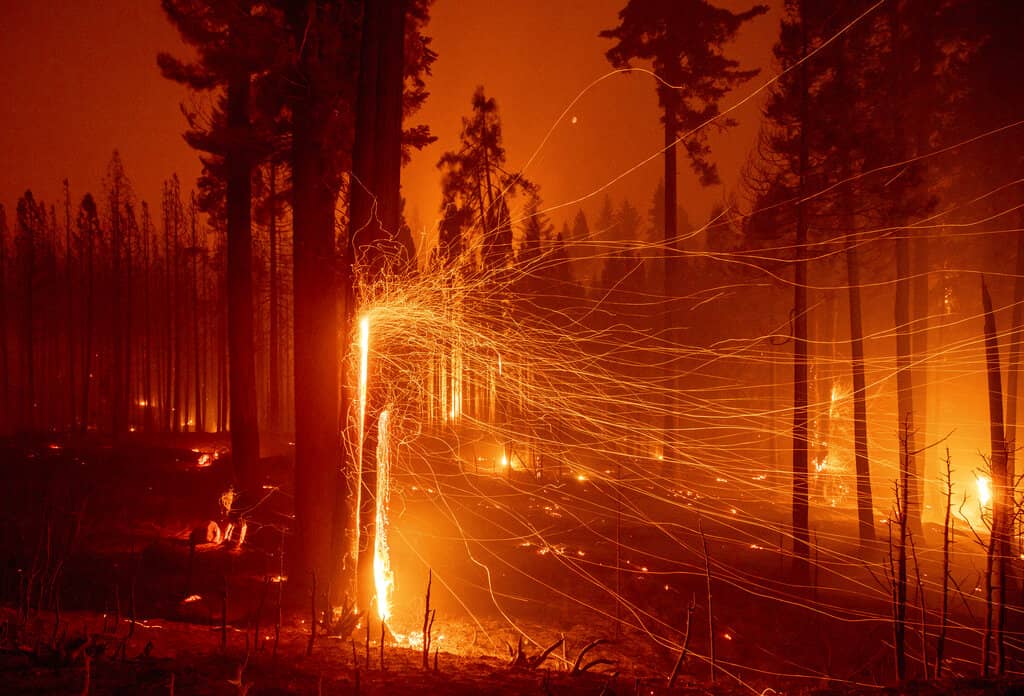 western-wildfires