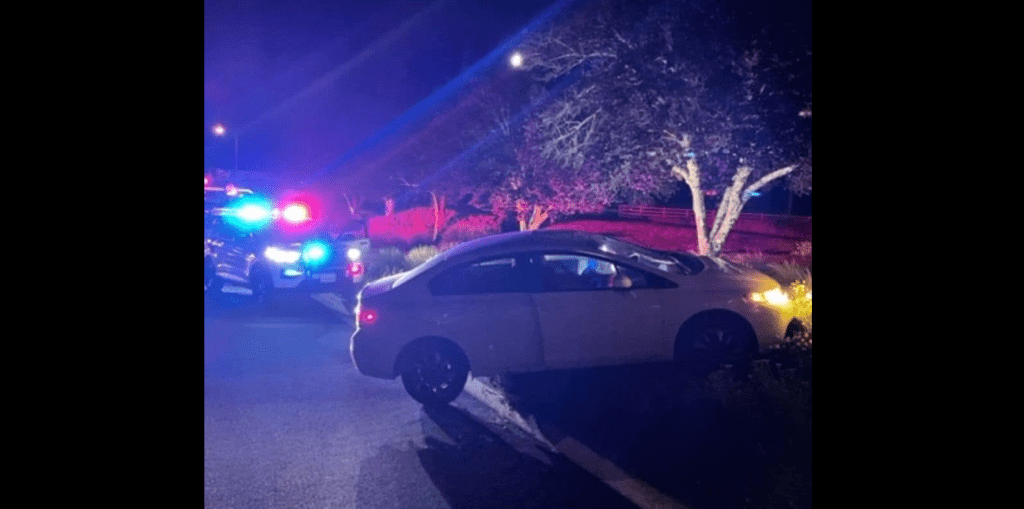 Patrol Car Rammed in Windsor; Suspects Arrested After Chase - Vimarsana News