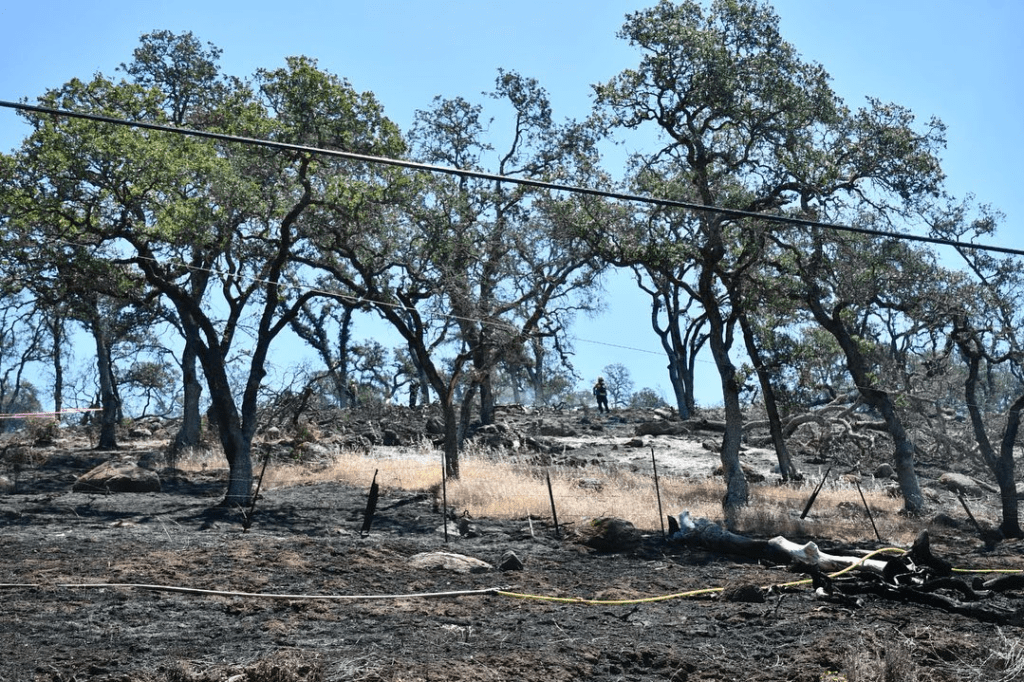 Old Fire Stands at 570 Acres, 45 Percent Contained - Vimarsana News