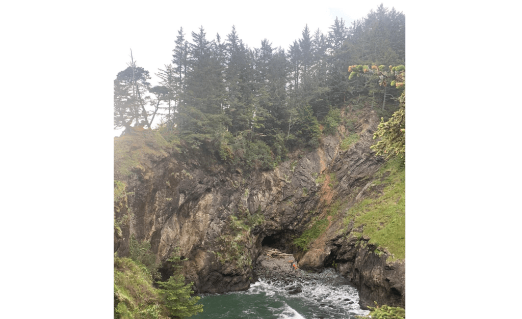 Penngrove Man Dies Falling Down Cliff in Oregon - Vimarsana News