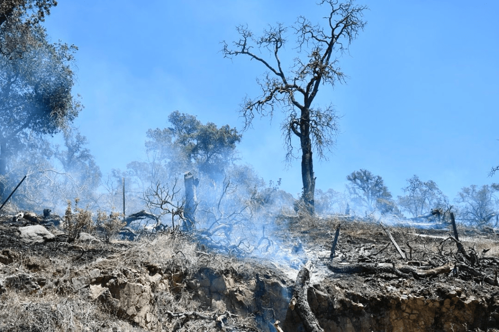 570-Acre Old Fire Fully Contained - Vimarsana News