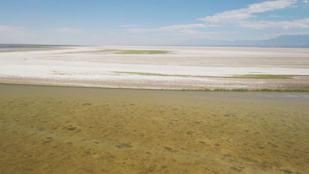 Great Salt Lake dry-up causing dangerous climate ripple effect, ecologists say - Vimarsana News