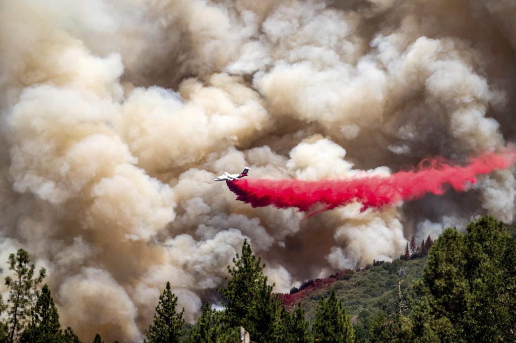 New Bill Proposed in Congress for Wildfire Prevention - Vimarsana News