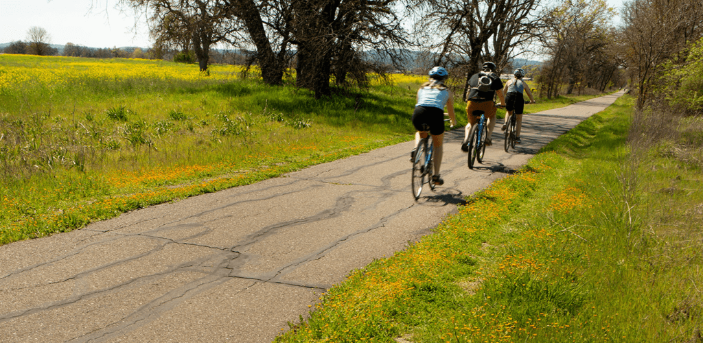 Closed Portion of Joe Rodota Trail Reopens - Vimarsana News