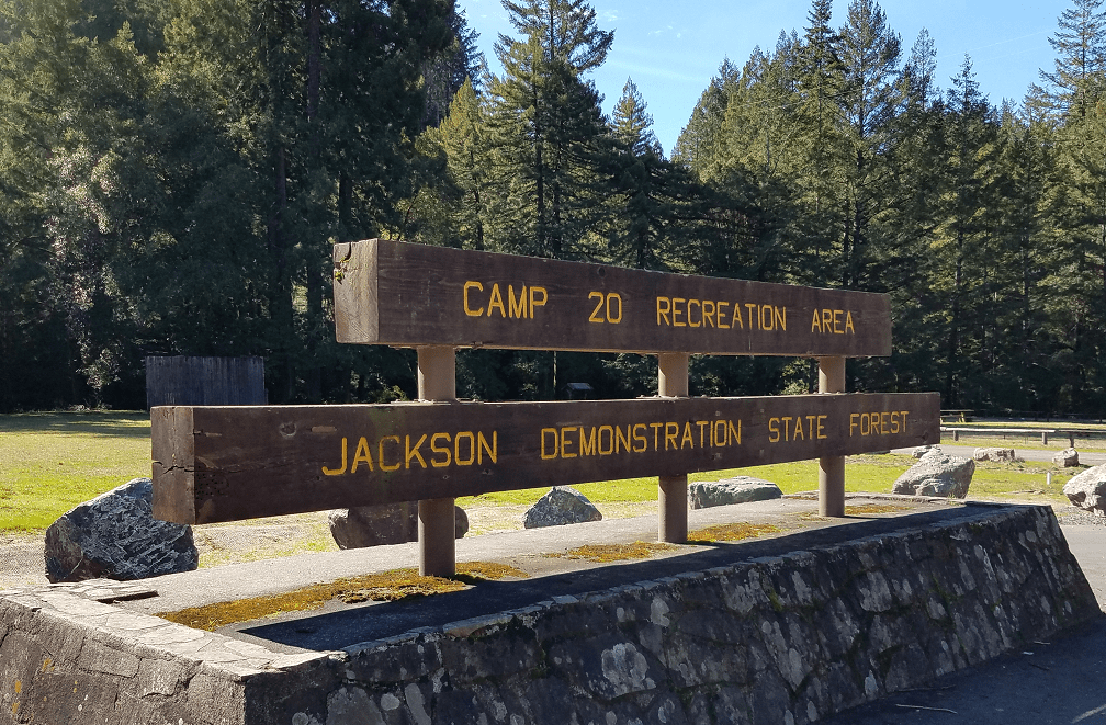 jackson-demonstration-state-forest-cal-fire