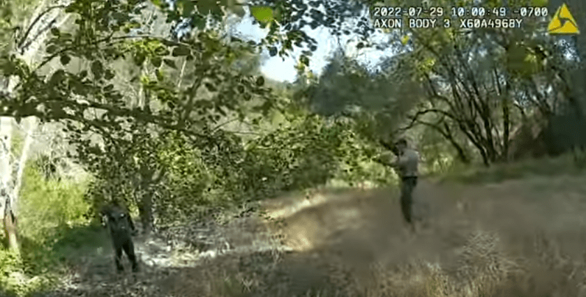 video-screenshot-of-deputy-involved-shooting-in-geyserville-sonoma-county-sheriff
