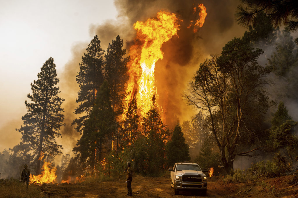 Lawsuit Filed Against PG&E Over Mosquito Fire of 2022 - Vimarsana News
