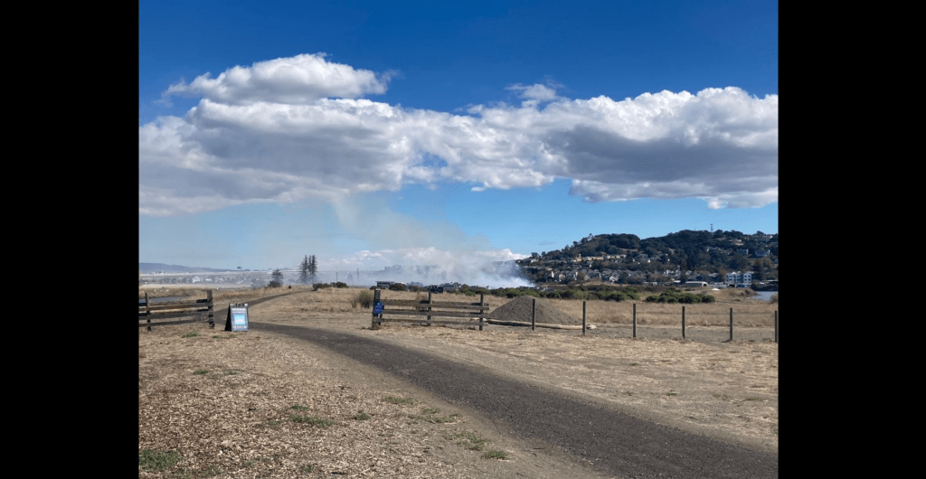 Two-Acre Fire Put Out in Petaluma Park - Vimarsana News