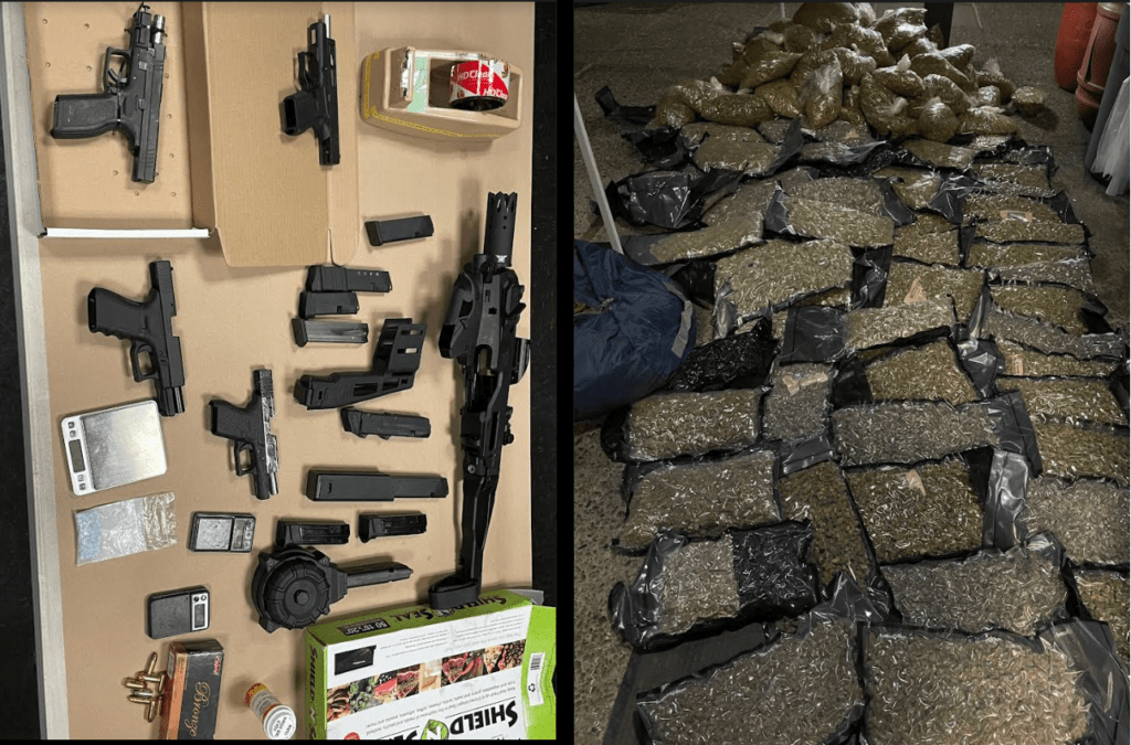Large Amount of Drugs and Guns Found in Santa Rosa Probation Search - Vimarsana News