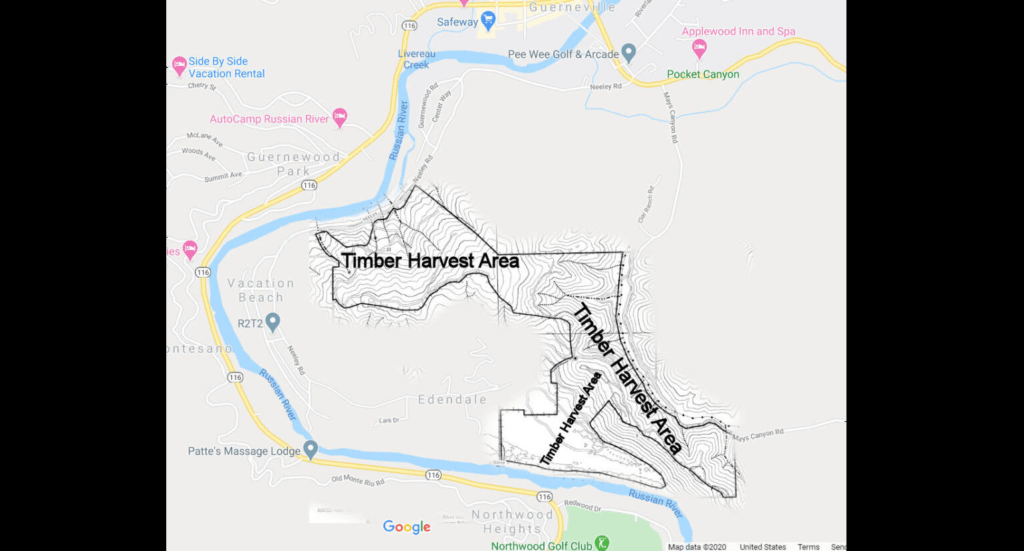 Silver Estates Timber Plan May be Decided Tuesday - Vimarsana News