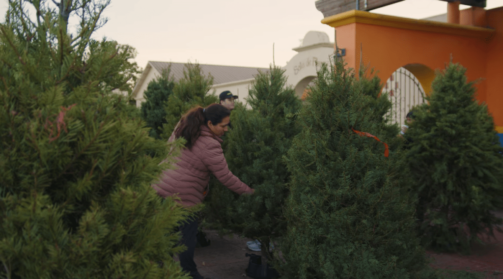 Santa Rosa PD Donates Food Boxes and Christmas Trees to the Needy KSRO