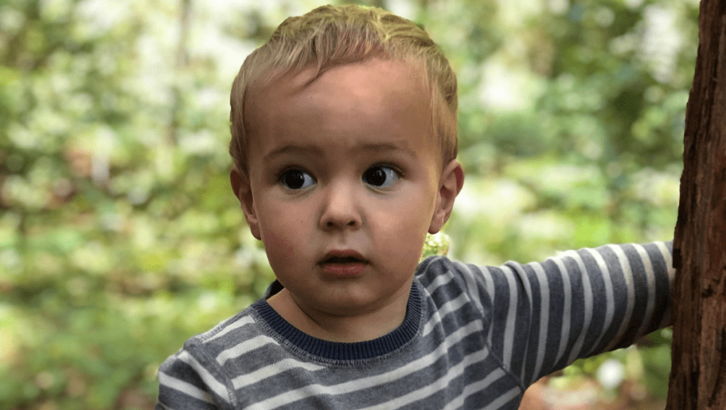 Update on Toddler's Death Near Occidental - Vimarsana News