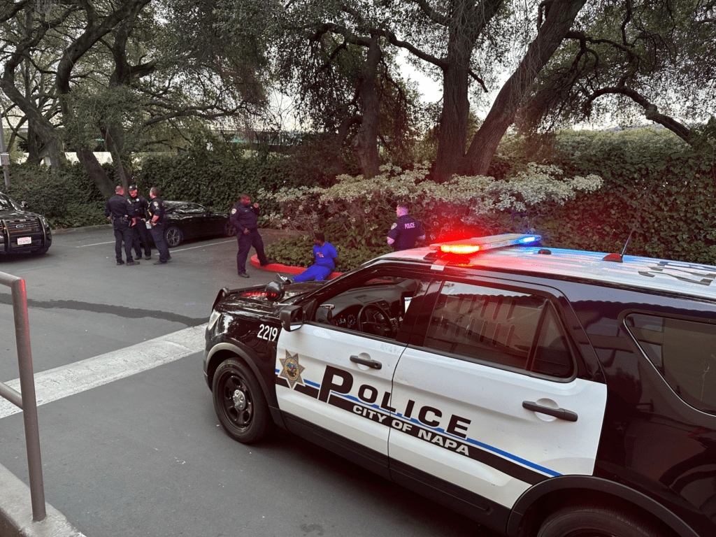 Theft Stopped at Nike Store in Napa - Vimarsana News