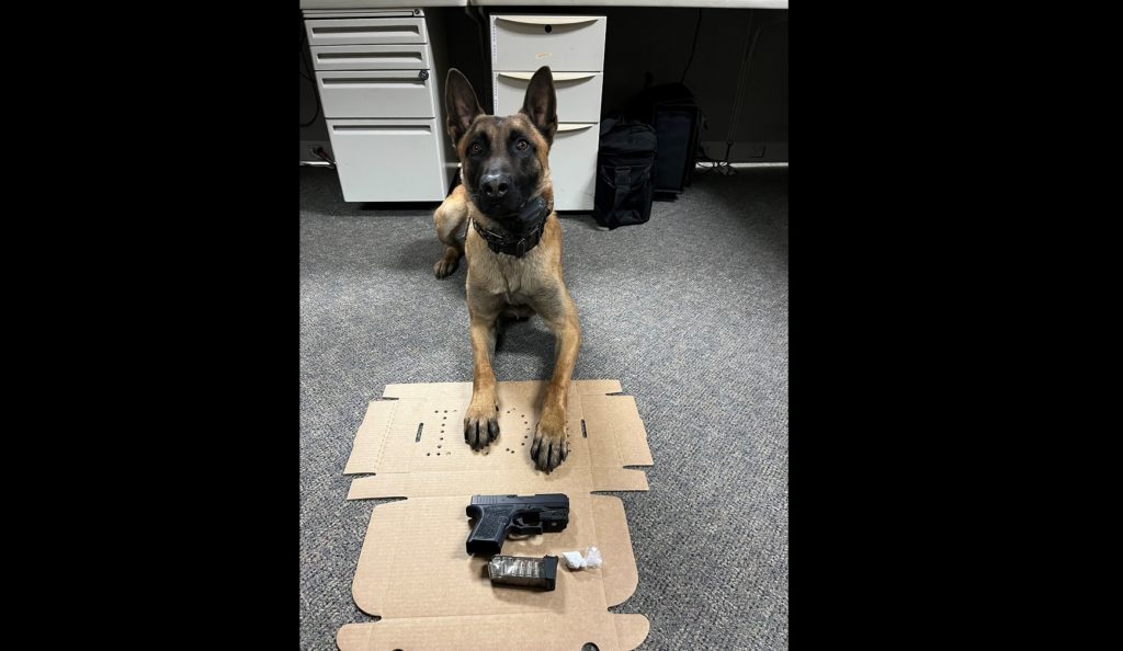Gang Member Arrested in Santa Rosa for Possessing Ghost Gun and Drugs - Vimarsana News