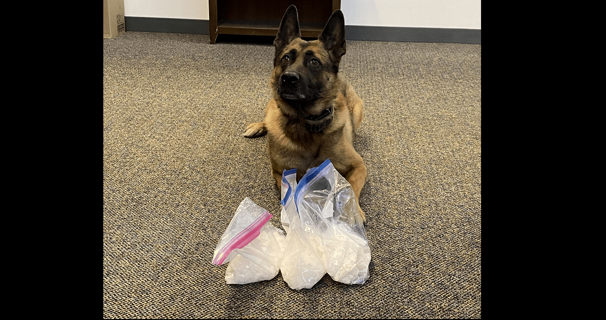 max-in-front-of-recovered-meth-sonoma-sheriff