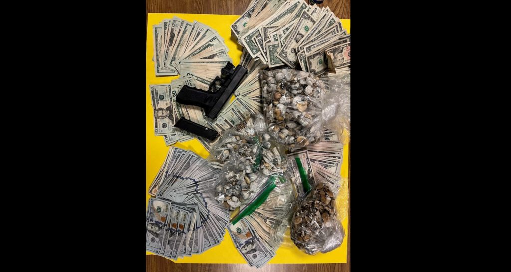 Rohnert Park Man Arrested for Selling Magic Mushrooms - Vimarsana News