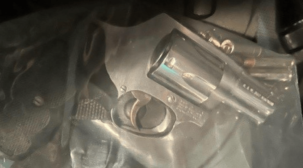 Felon Arrested by Sheriff's Deputy for Having Loaded Revolver - Vimarsana News