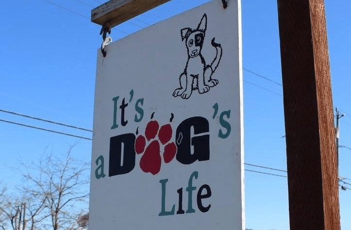 its-a-dogs-life-facebook