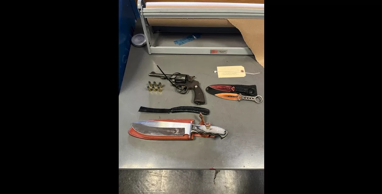 items-confiscated-from-alexander-whitfield-santa-rosa-police