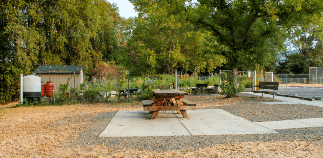 larson-park-sonoma-county-regional-parks