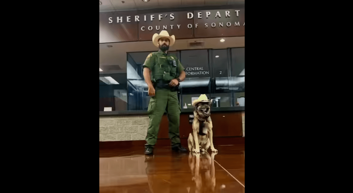 K-9 Bruno Retires from the Sonoma County Sheriff's Office