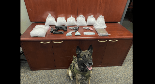 k-9-deputy-and-items-confiscated-from-enrique-sanchez-arias-sonoma-sheriff