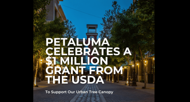 graphic-for-petaluma-urban-tree-canopy-city-of-petaluma