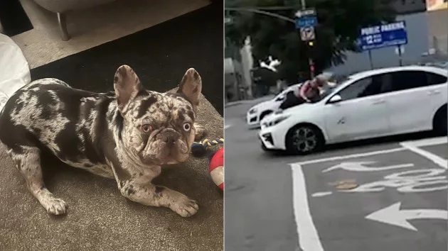 dog-stolen-la-ht-lv-240204-2_1707084406133_hpmain_16x9874809