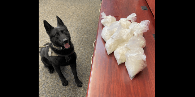 meth-confiscated-from-angelina-gutierrez-2-13-24-sonoma-county-sheriff