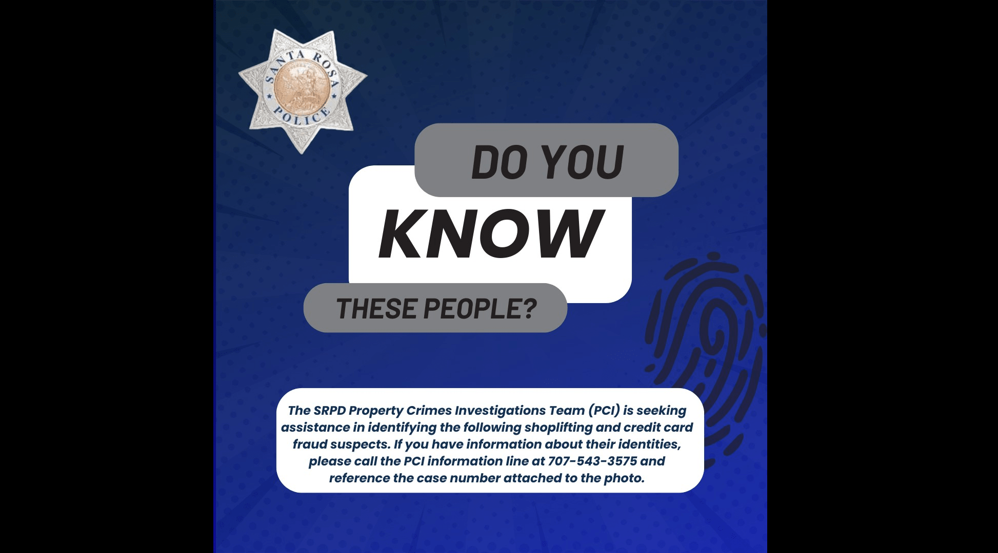 picture-from-srpd-property-crimes-team