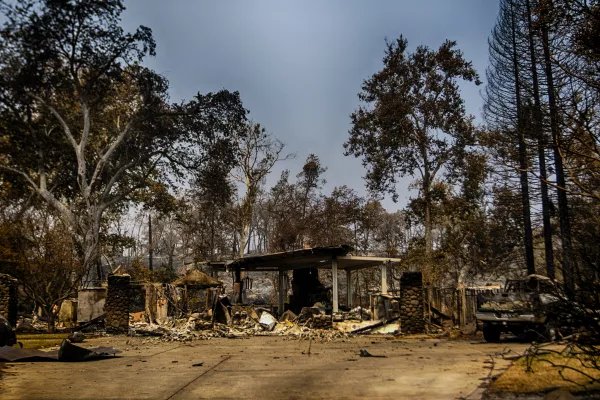 california-animals-behind-fire-line