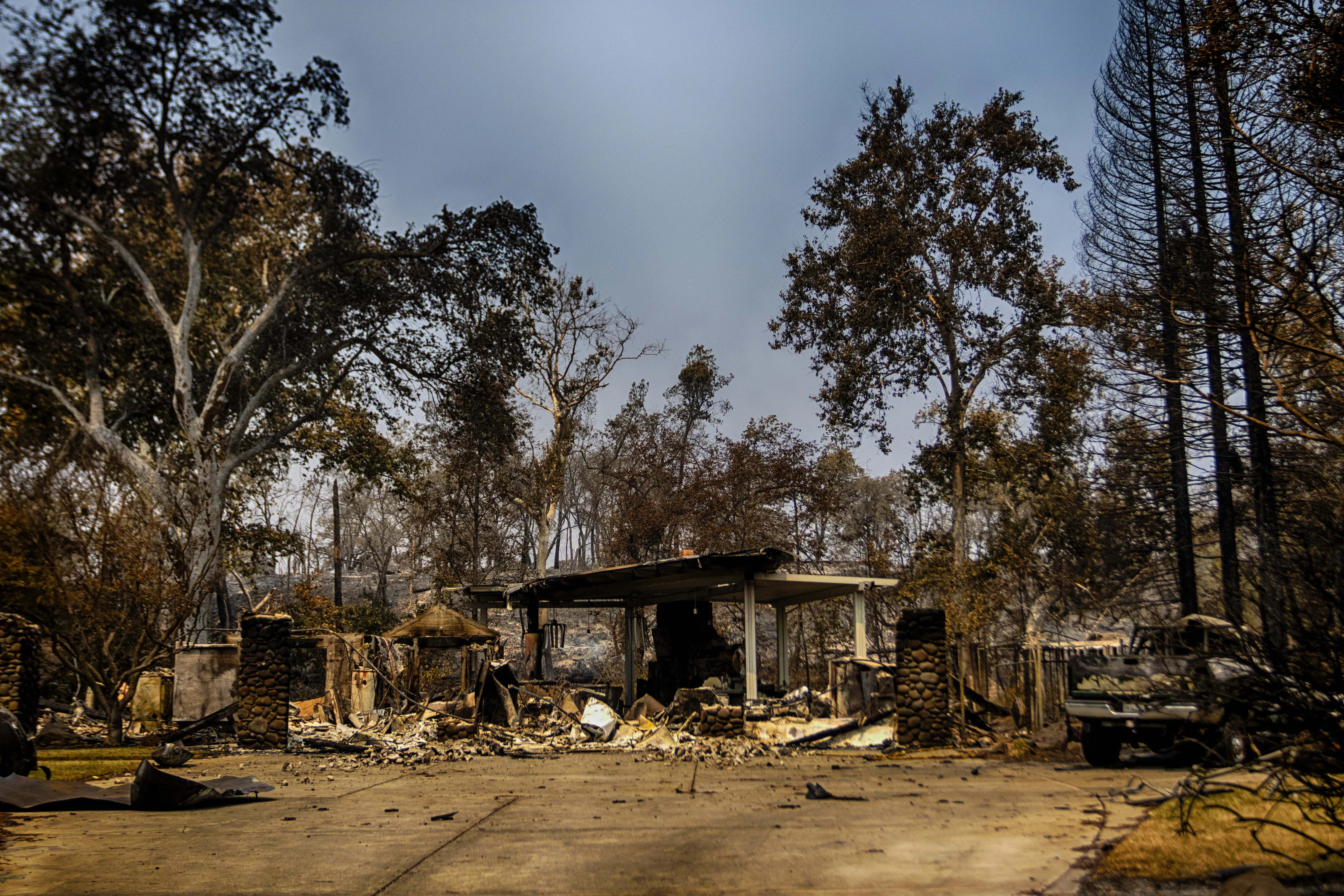 california-animals-behind-fire-line